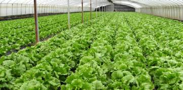 horticulture diploma -int